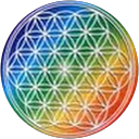 Karmen C. R profile picture